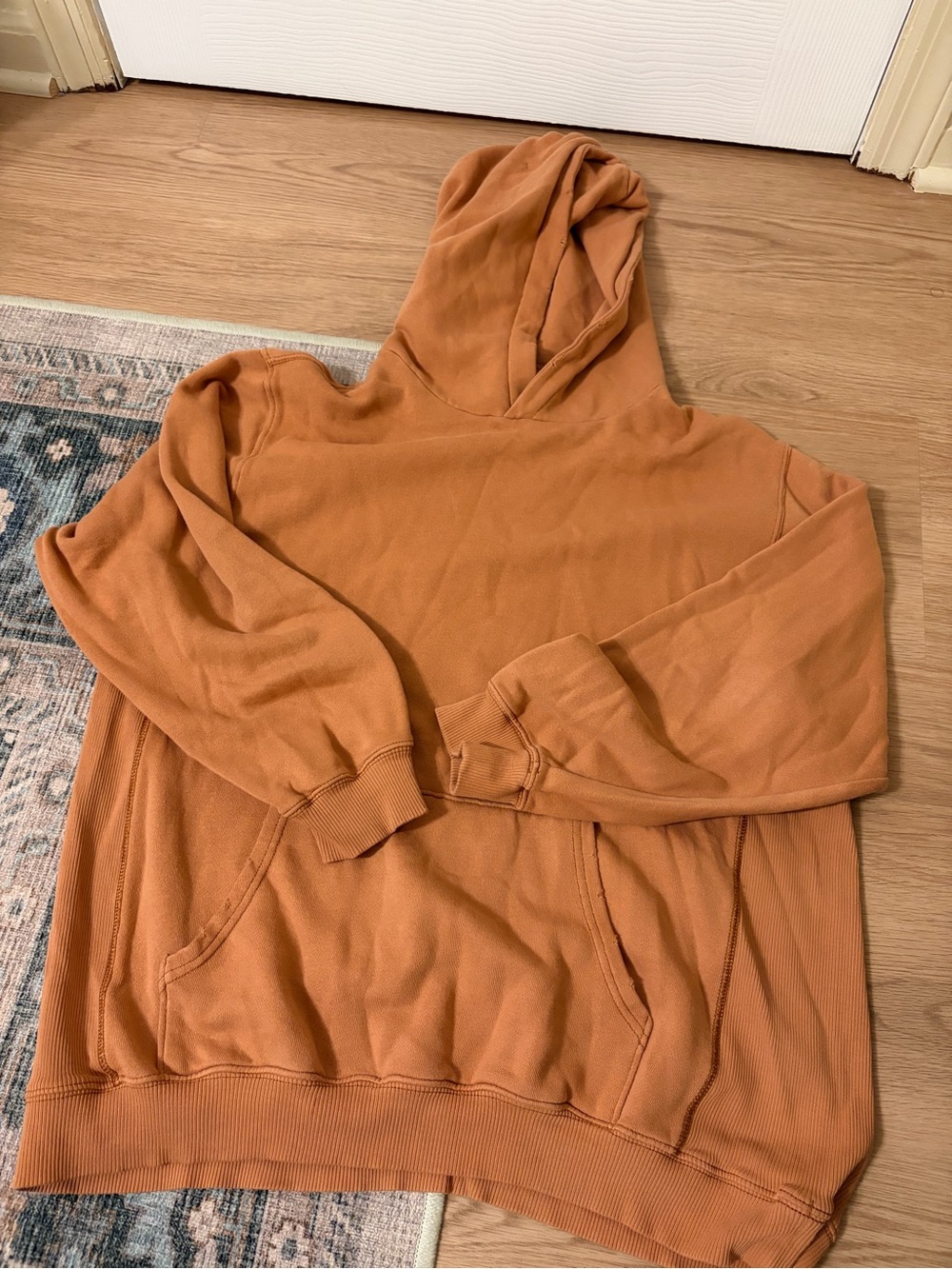 Aerie Hooded Pullover Sweatshirt - size M